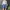National Geographic Streetwear Sweater Pria gray photo 1