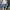 National Geographic Streetwear Sweater Pria Gray