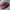 Reebok running shoes photo 2