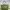 Longchamp LC Authentic CUIR Le Pliage L Lichen Tote bag Gree photo 1