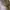 Longchamp LC Authentic CUIR Le Pliage L Lichen Tote bag Gree photo 4