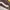 Vans Sk8 Low photo 6