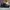 New Balance Streetwear Sneakers Pria multicolor black photo 2