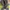 New balance 1906R volt black photo 6