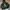 Lifework Bigradog Authent Hoodie photo 1