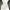Zara Woman - White Dress photo 1