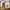 Atelier de Lumen Panier Flap Bag (Tan Brown)  photo 1