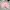 MLB Y2K Skater Sweater Pria pink photo 1