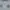 Le Coq Sportif Minimalist Casual Sweater Pria white gray photo 2