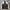 Aegis Invicible Twotone Jacket  photo 1