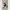 Luxury Minimalist Jumpsuit Wanita white black photo 1