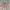 Crop Uneck aino pink photo 1