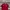 tommy hilfiger TH85 polo shirt #JLPS76 photo 1