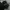 Carhatt K121 BLK photo 5