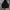 Carhatt K121 BLK photo 9