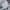 Mardi Mercredi Luxury Minimalist Sweater Wanita gray photo 7