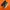 salomon xt6 goretex
 photo 1