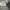 AIR JORDAN 1 DIOR LOW , AIR JORDAN LOW DIOR , AIR JORDAN 1 L photo 8