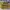AIR JORDAN 1 DIOR LOW , AIR JORDAN LOW DIOR , AIR JORDAN 1 L photo 5