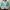 White Green Knit Top  photo 1