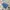 Vest rompi anak bebedepino biru cakep photo 1