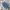 Vest rompi anak bebedepino biru cakep photo 5
