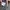 Jeep Jeans Short Pants Army photo 7