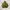 Zip Hoodie Army Green Washed  photo 2