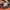 Nike ZoomX Vaporfly Next% Size 45 photo 6
