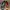 Nike ZoomX Vaporfly Next% Size 45 photo 2