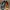 Nike ZoomX Vaporfly Next% Size 45