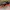Nike ZoomX Vaporfly Next% Size 45 photo 1
