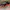 Nike ZoomX Vaporfly Next% Size 45