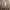 New balance Fresh Foam X 1080 Unlaced Triple White   photo 6