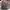 New balance Fresh Foam X 1080 Unlaced Triple White   photo 4