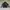 Snowboard racing ford photo 1