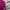 KIRSH Luxury Fairy Sweater Wanita multicolor pink photo 3