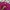 KIRSH Luxury Fairy Sweater Wanita multicolor pink photo 4