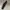 6swoosh Trackpants parasut photo 1