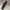6swoosh Trackpants Parasut