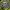 Dickies Gorpcore Skater Hoody Pria gray yellow photo 2
