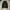 [CFS] Baggy Pants Canvas Black⛓️‍💥 photo 4