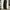 [CFS] Baggy Pants Canvas Black⛓️‍💥