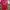 Jersey Home Liverpool th.1996/97 photo 2