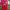 Jersey Home Liverpool Th.1996/97
