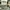 Levi's Streetwear Jeans Pria gray photo 5