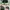 TOPI SNAPBACK MT. DEW TAG OFFICIAL  photo 1