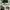 TOPI SNAPBACK MT. DEW TAG OFFICIAL 