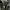 Balenciaga Vintage Luxury Short Pria black photo 7