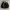 SMALL BIRDS WOLL TRUCKER JACKET photo 1